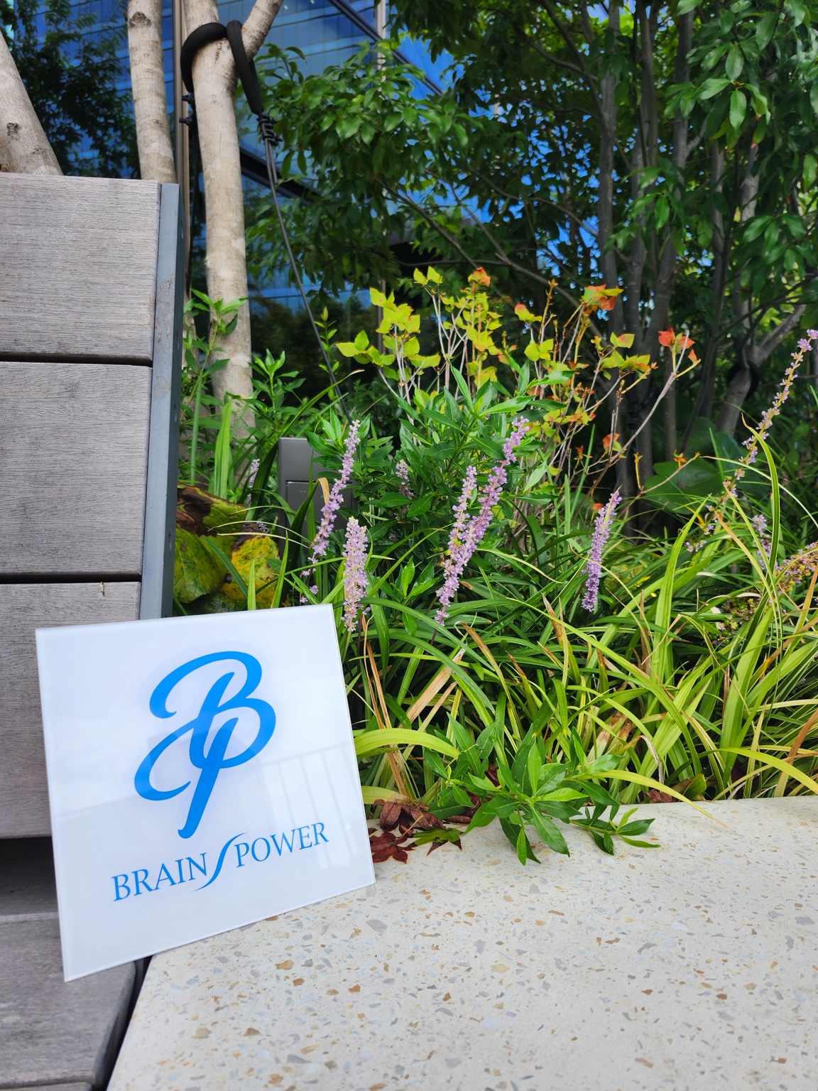 ブレーンパワー 玄関サイン